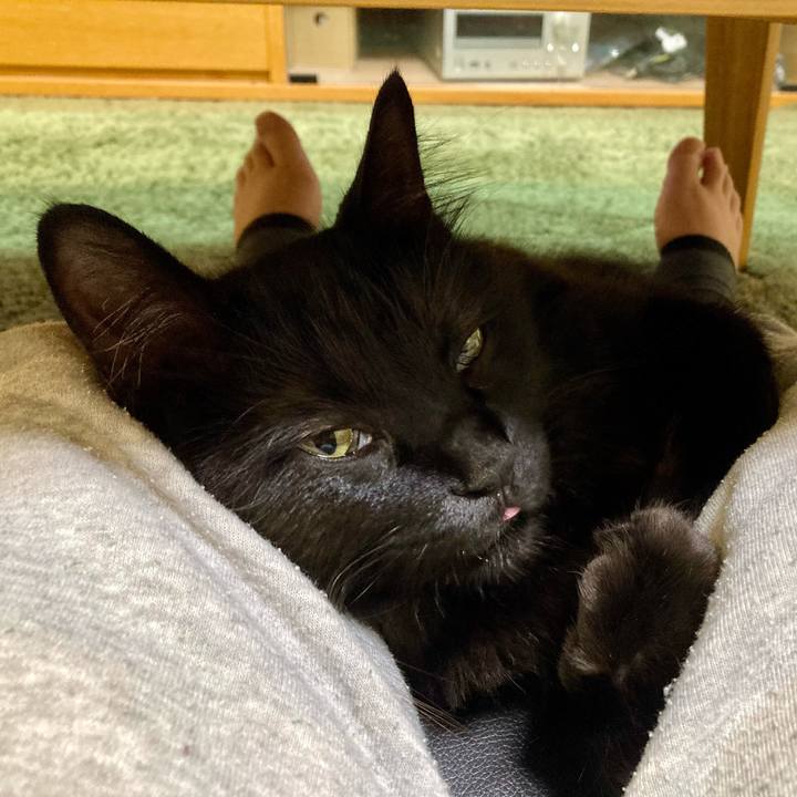 A94ee4a2 a5b9 4a66 9076 62d96c34d4dd 1760866857084