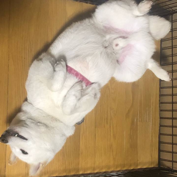 A94ef8b8 3265 4a0b 8ba0 cbc2aa69a6b0 1572701120766