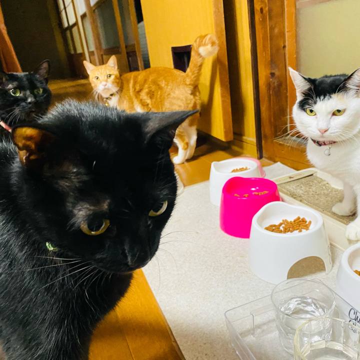 A94efc68 3b16 4b75 bfbb 9a93b411a239 1665316583535