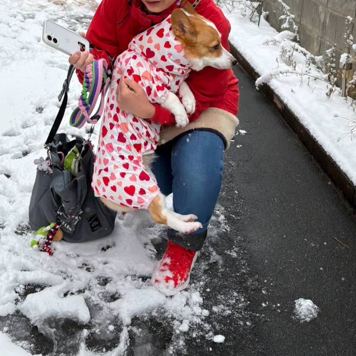 A94f28ad 1092 4b54 a99a fe459910e7c8 1770518791303