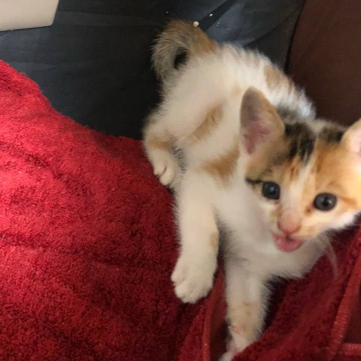 A94f2b41 e71e 4664 92f7 d2a0d63eb961 1560352152228