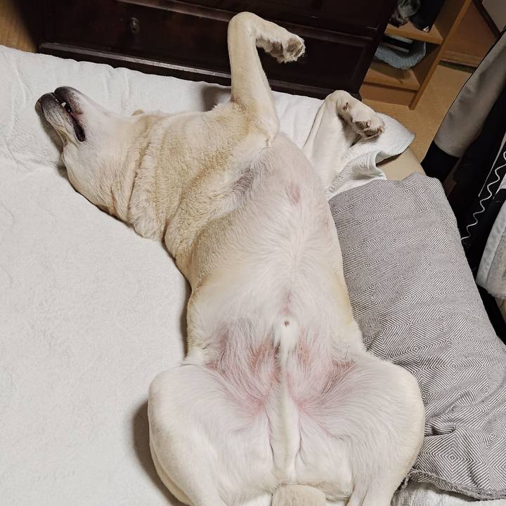 A94f2de7 567b 4bbe bb81 f6951fd75ae9 1774062655426