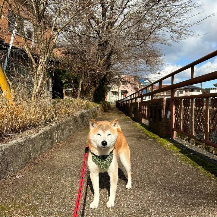 A94f54c9 686e 4bfa 8c23 1a51d3ad0bd2 1706005902039