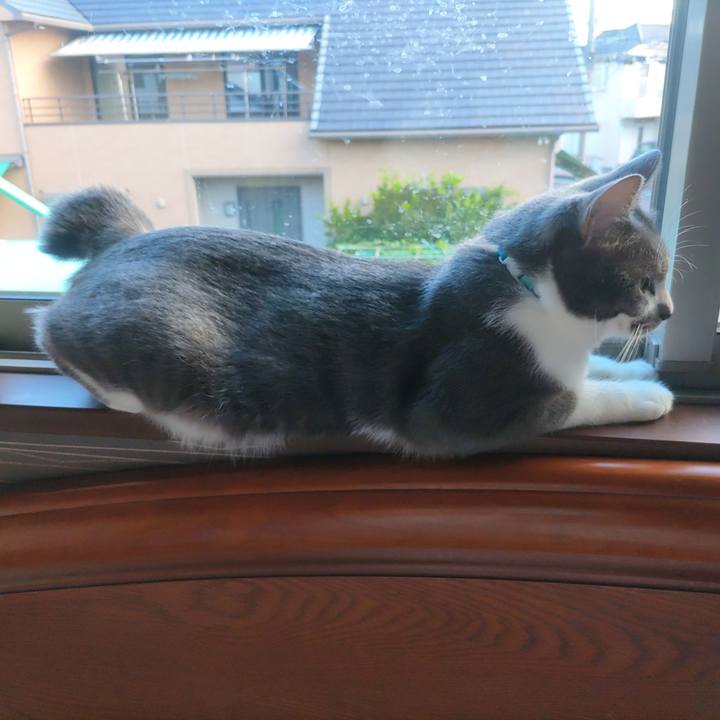 A94f5895 6a1b 4bda ab81 3b11a408a0c2 1659309979919