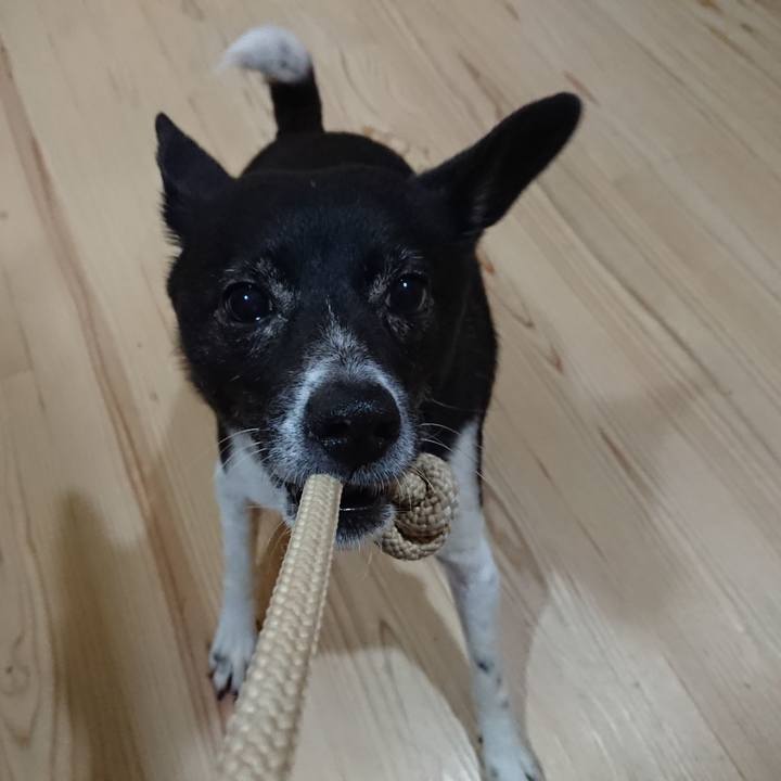 A94f930c 2d1a 42cc b011 12eda43bd773 1620920931621