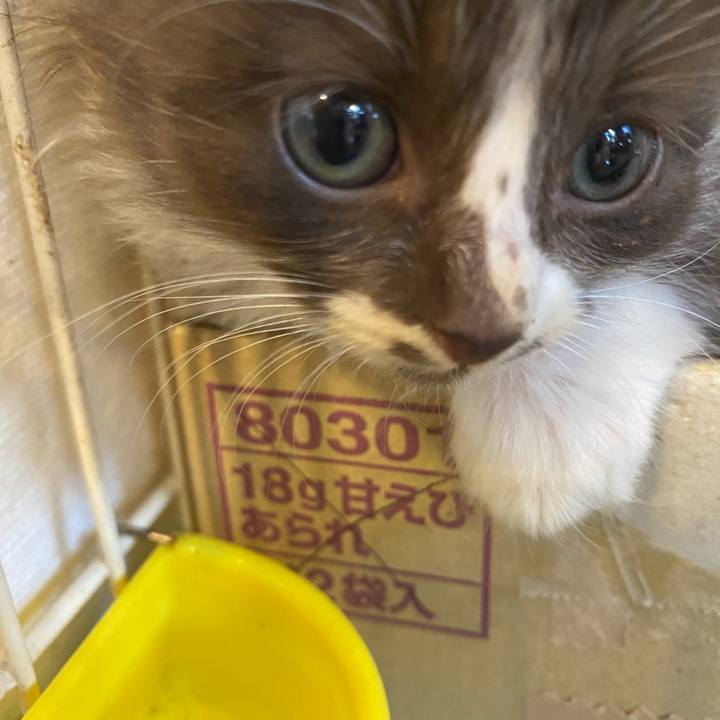 A94f9fdb 4be3 419e ae74 f9304de4e201 1684487559700