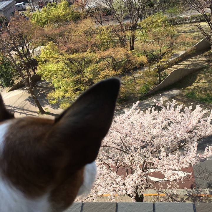 A94fa6c4 47fe 4414 ade5 2eb270022578 1554524390524