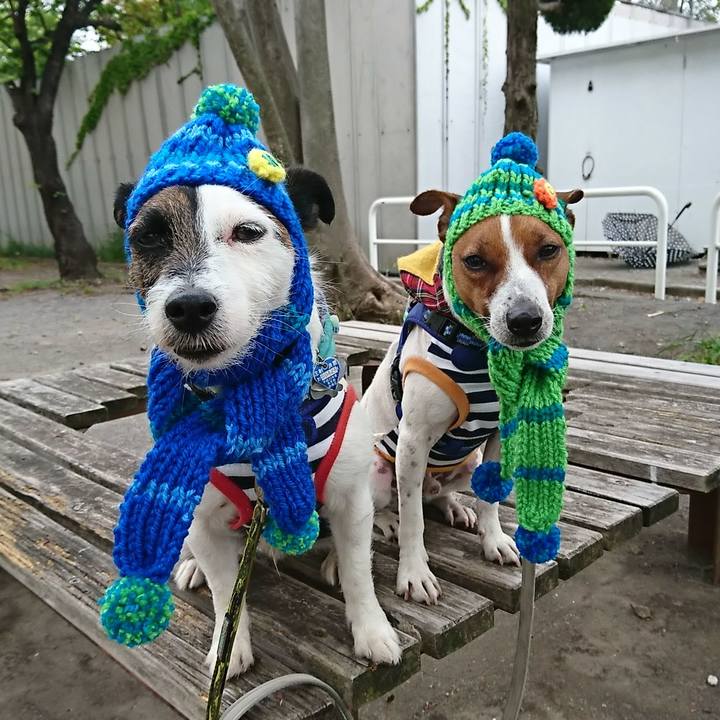 A94fee96 eb8a 45e0 aaf0 242dc91499b2 1556058374913