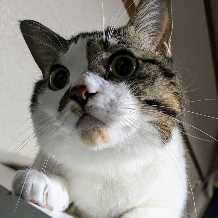 A9500a6f 6275 4a97 9009 8d785d4cb4fa 1733141012521