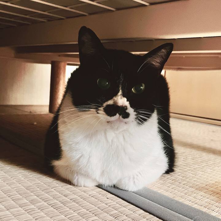 A9501070 b14b 4611 8e34 8eb9da8cfe0c 1676949185116