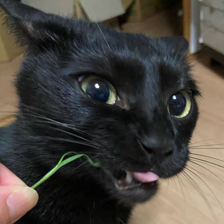 A95060b6 783e 4ac2 91a5 3698d398bc0b 1685703862257