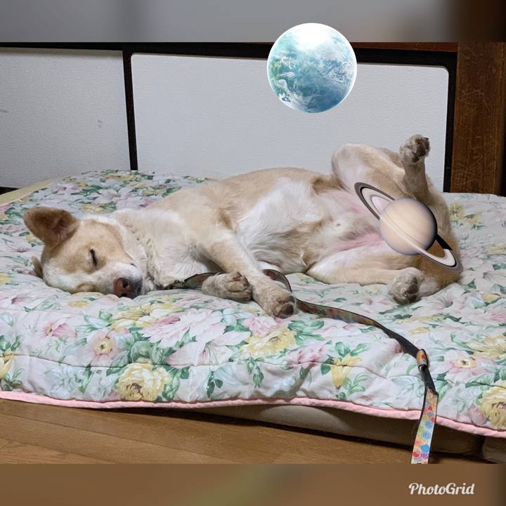 A9506e8f 4c94 4fa7 af02 3dadba6257e6 1561130133705