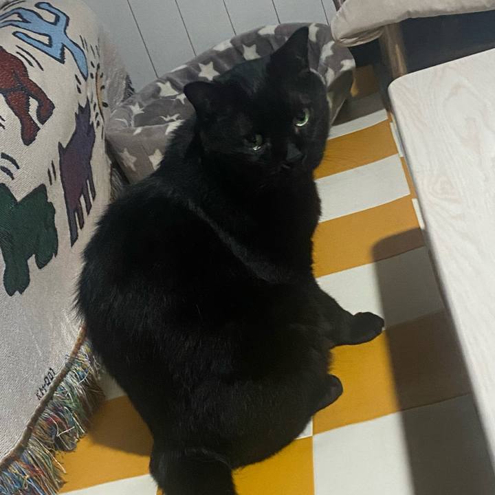 A950a21a a44d 4a9a b55a 4eebd04acf8d 1719119668658