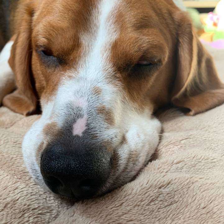 A950b932 a021 4e96 bbfa d85887dec3be 1581220723564