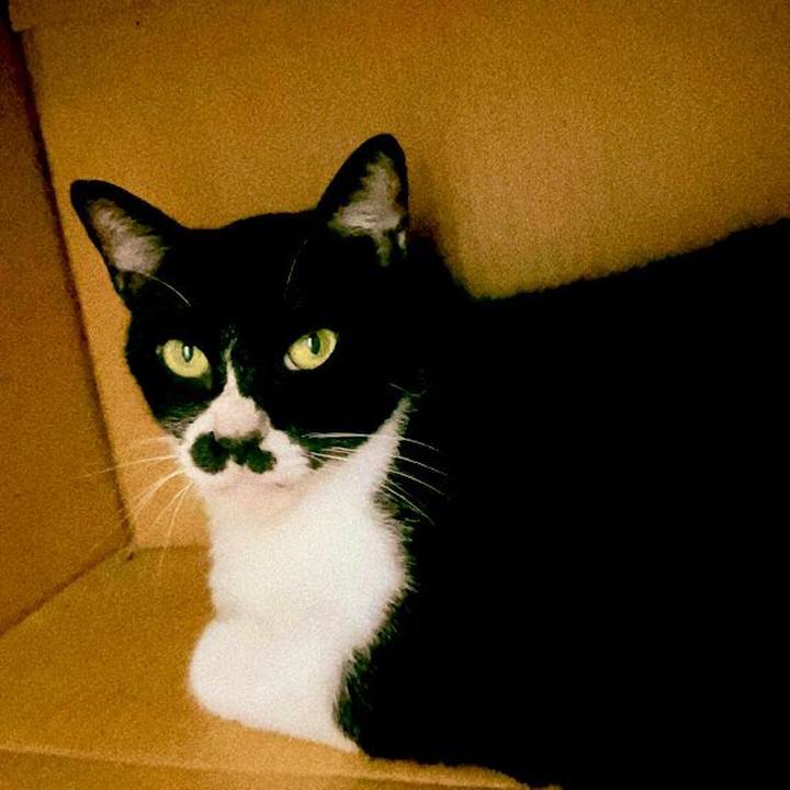 A951027d a563 43b2 9963 f9c87975fd21 1692262177424