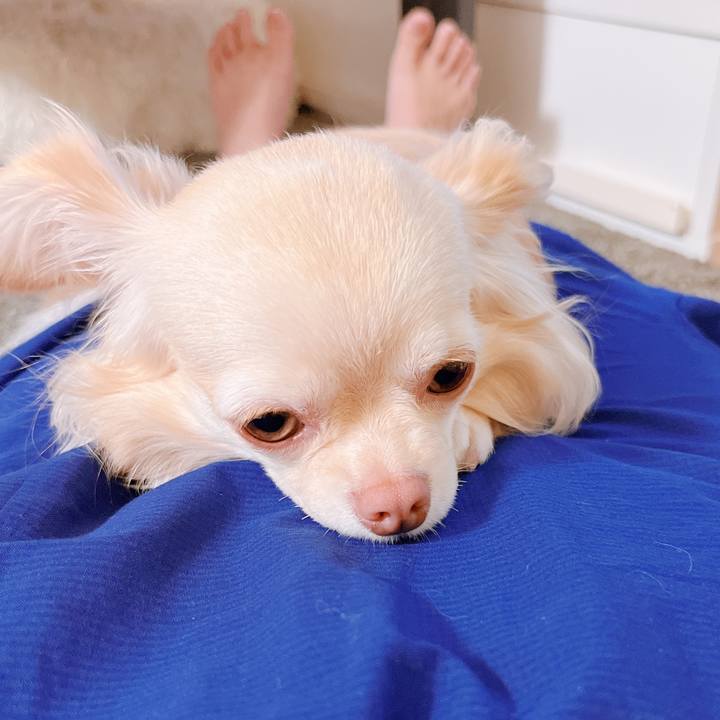 A9511617 60c9 40e7 8668 b2ce61335319 1654311313544