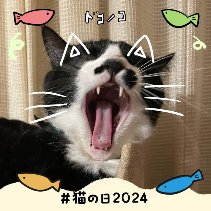 A9517590 dfde 4f94 a0c6 03195ee67838 1708602708520