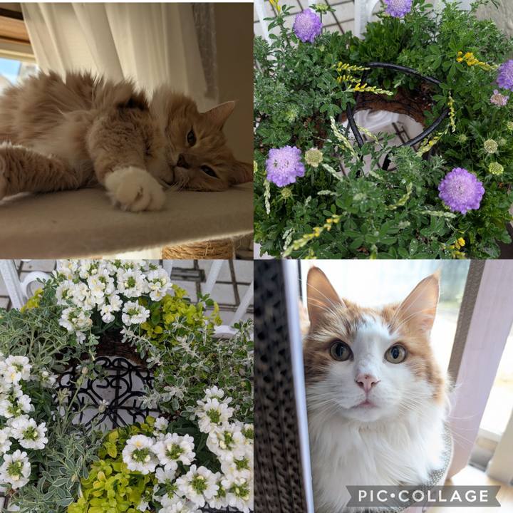 A9518753 6e7d 4959 9e64 7465000be807 1740994652936