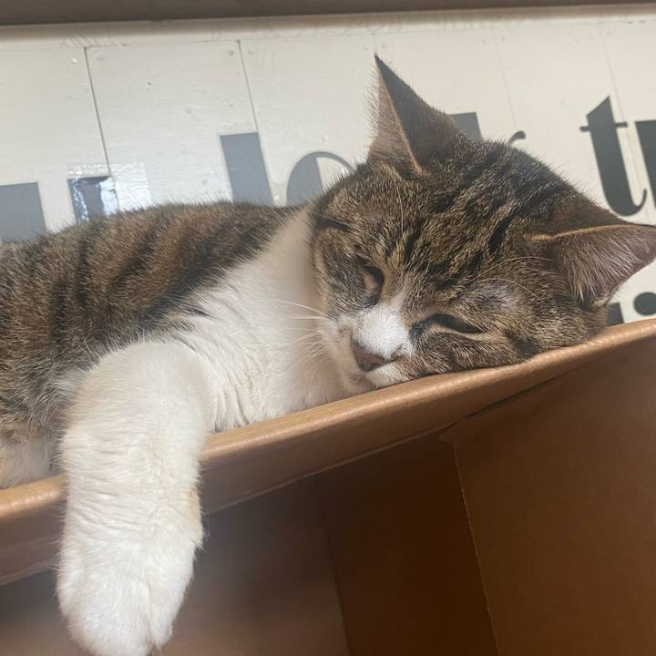 A9519672 3ec7 474e 80dc a6450f3cc198 1714289232180