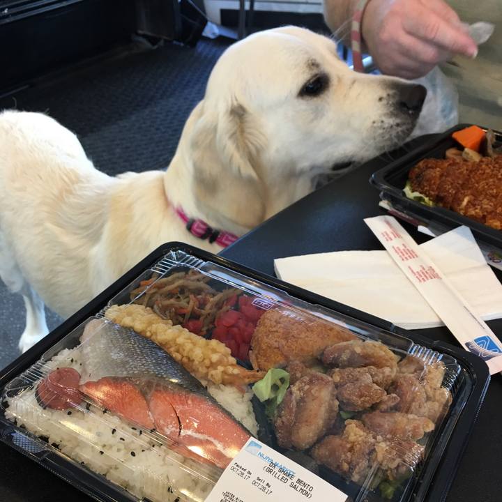 A951c183 24c9 4333 99c2 4a4df444aad5 1509257291697