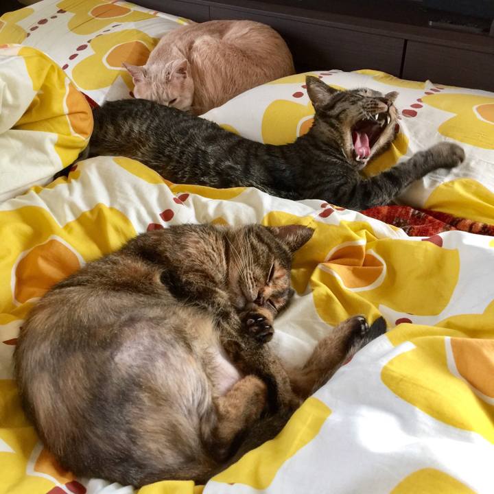 A951d284 766a 44f7 9b22 eaed4bfee6ec 1554818662294