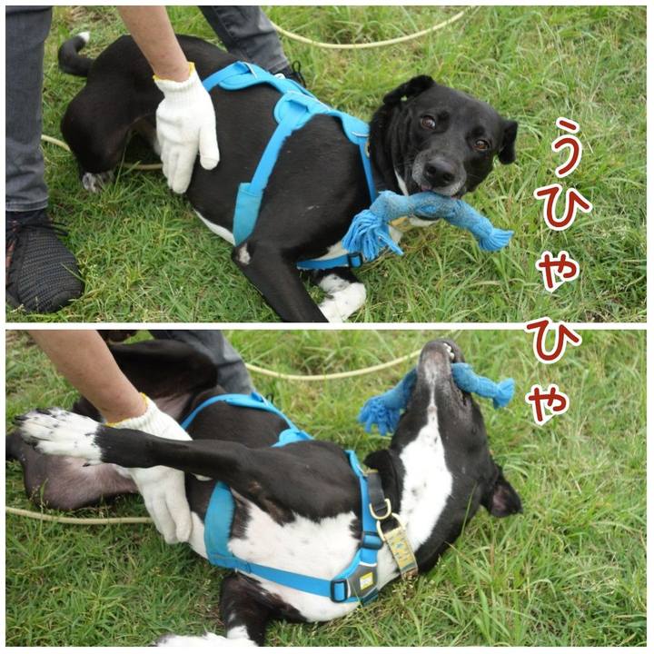 A951d9fc e449 49fb 94f6 f2f1df06b8e8 1622334796831