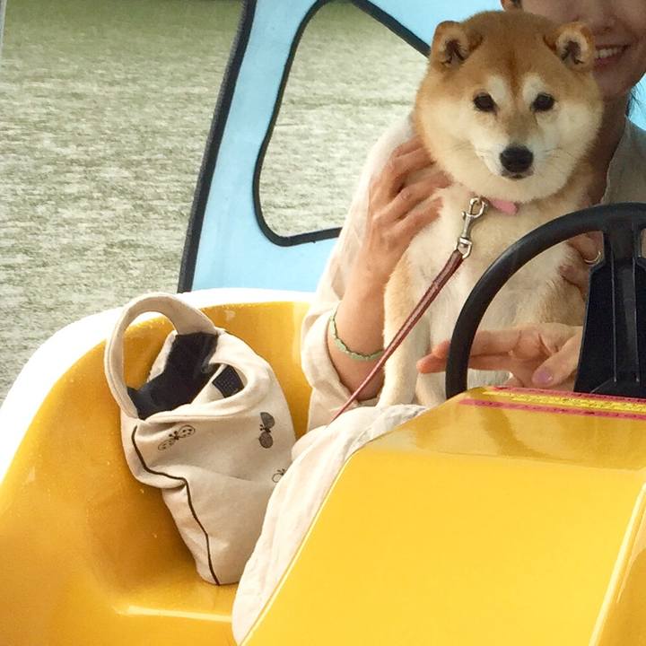 A9520416 c714 46c0 a8a2 25157ad756da 1563714573800