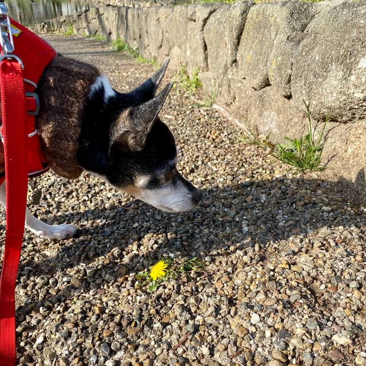 A9521562 bbae 4da3 9853 34f9d8e8edc5 1615689931555