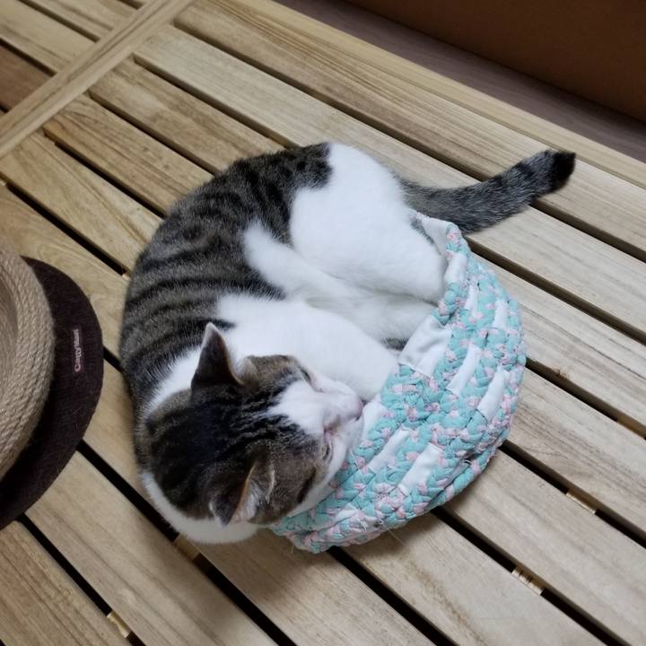 A952230c 2297 4513 982c bf21f9d0660c 1621726940003