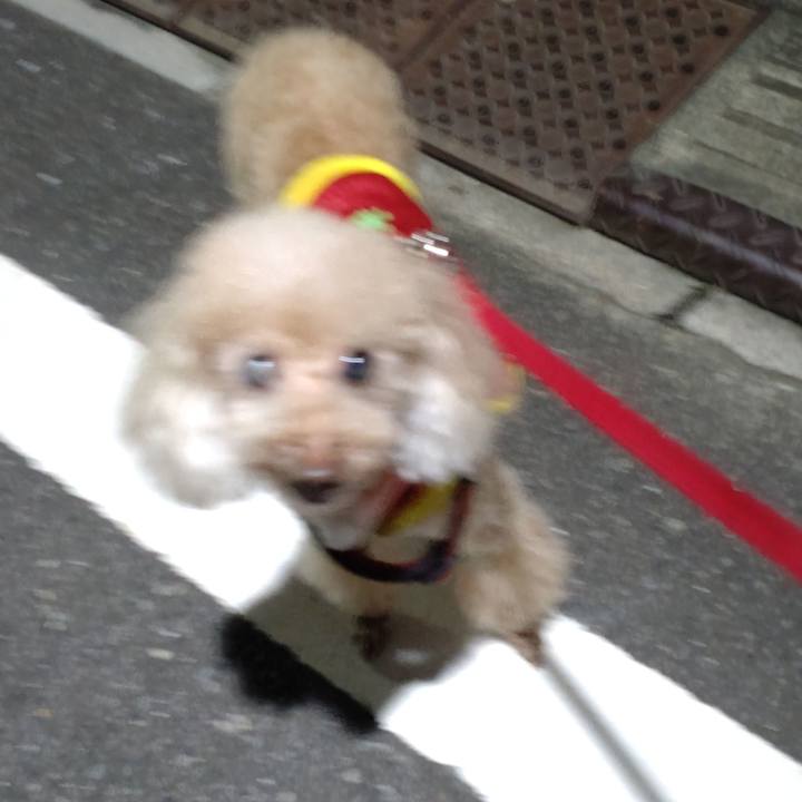 A95243fd 9e41 4316 8aaa d344823f8918 1694359694883