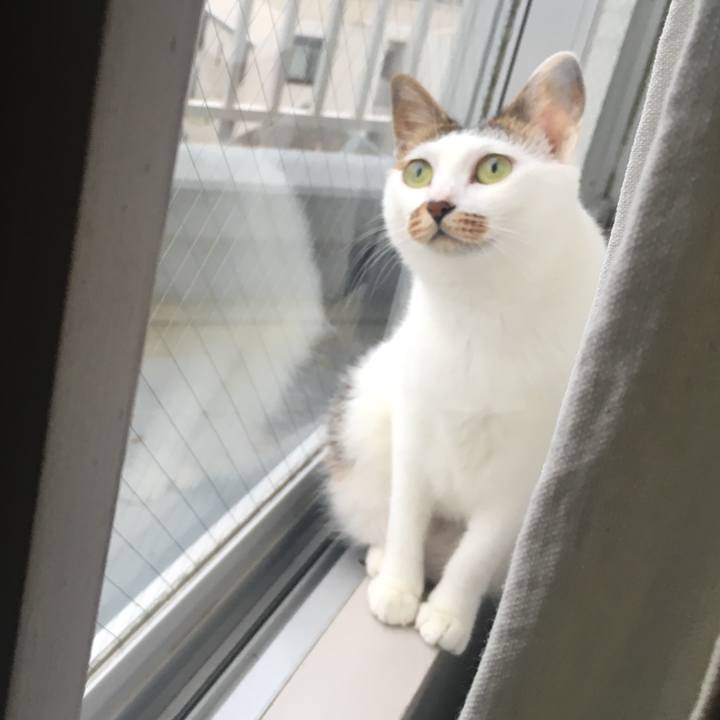 A952d414 f3dc 4008 975b 57f39ac51030 1535504733289