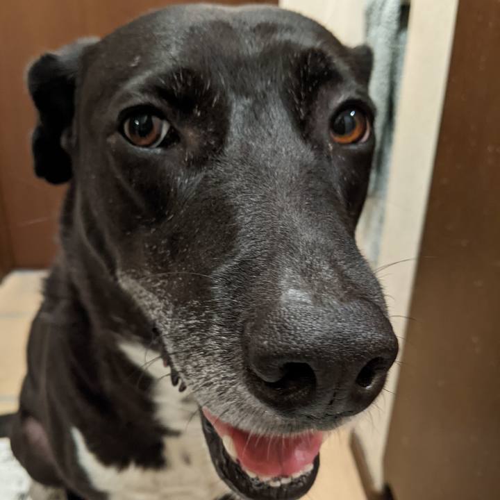 A952f3aa 45d3 488b a506 5dcf557ed1ed 1668337820854