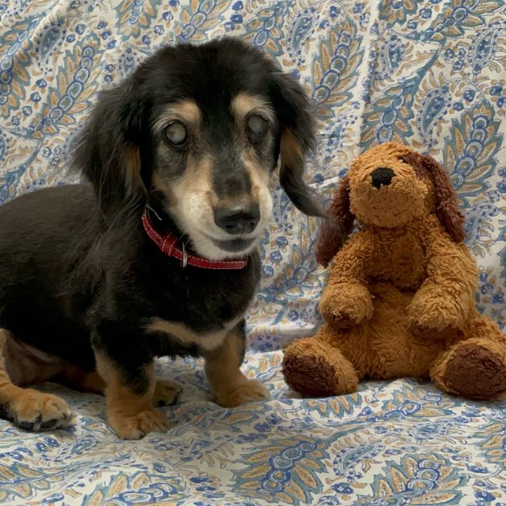 A952f5b6 9318 4115 b4f5 d22f34e276d7 1757292046793