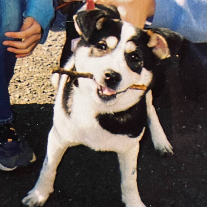 A95306ca 0e07 42da aacd 90ec02f6f132 1622119633189