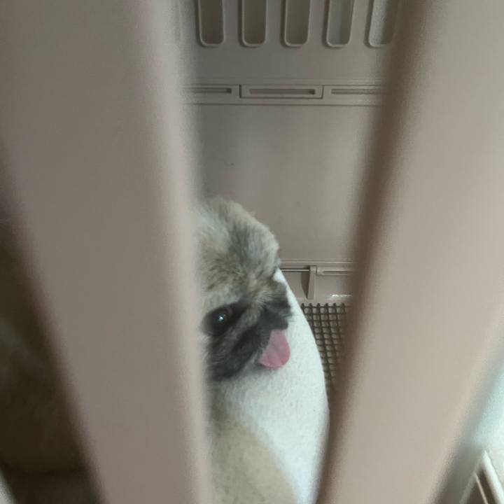 A9531010 4f50 49bb ba01 21167db76c4d 1724409522211