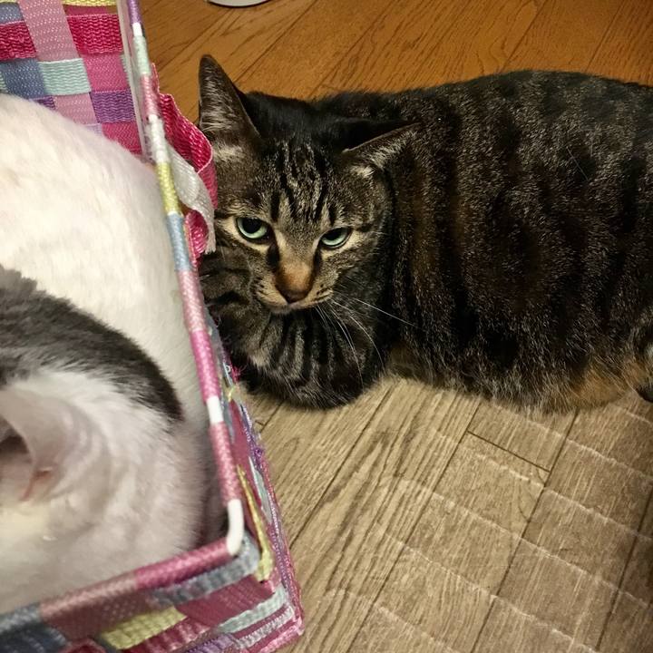 A953215f a07a 4cee a53e 9baca8607389 1517751109963