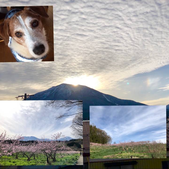 A953af82 01b3 40fd b492 229f0c3f67be 1556457224628