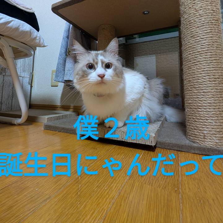 A953c018 69cc 42e3 a0c8 c546143cee24 1729799011047