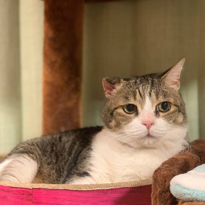 A9543c54 e929 4a98 97f3 690a79ba4bde 1686563870641