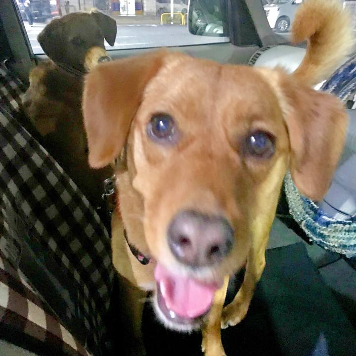 A95440cc e661 41b6 bffd 33b8525dbc23 1522758891371