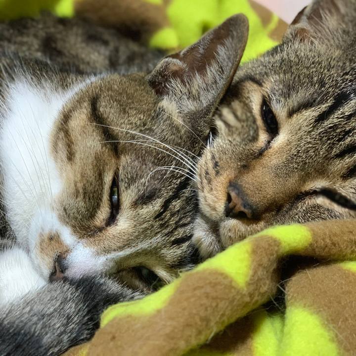 A954544b a5cf 4296 a62a 28469fa42c13 1575769060296