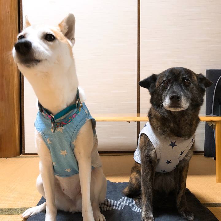 A95508fb 1d01 47ee ba9a 41d2084f6956 1591976040615