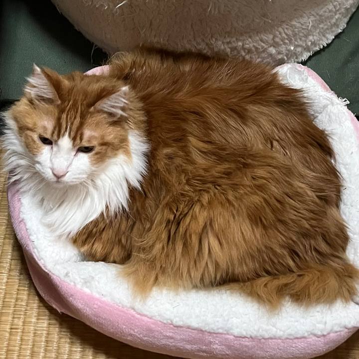 A9552879 8fc8 437f 9497 832968406db0 1672653800108