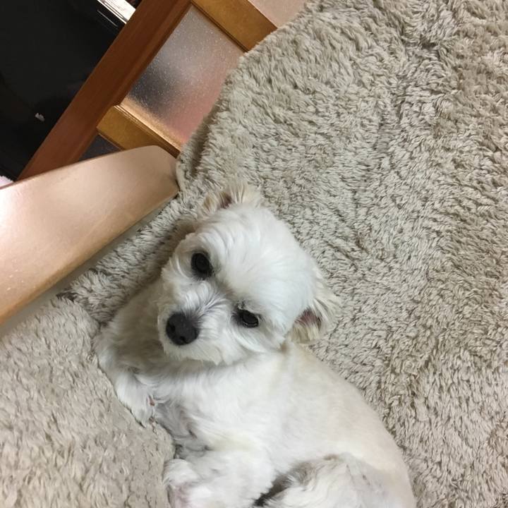 A95548c1 4312 48db 8cac 0f2ae1d19df5 1522322088630