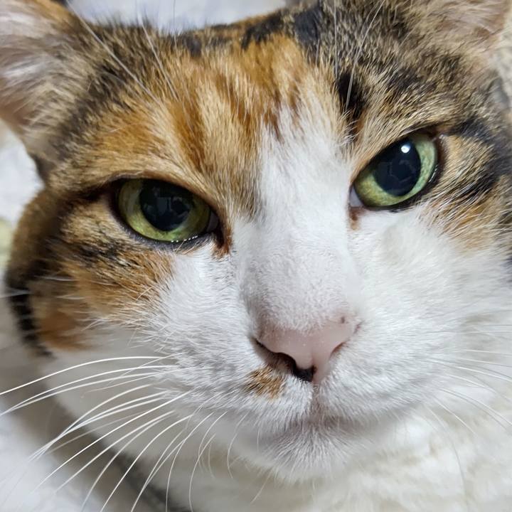 A9554b1f 84a4 4587 9905 dbaa4e982700 1602680157234