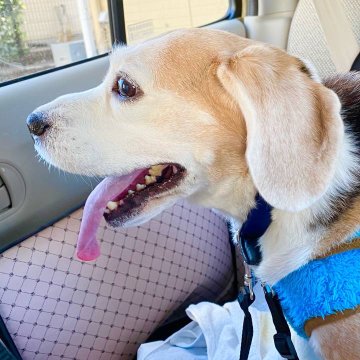 A9557183 f46a 4dc8 badf 844974ffc82d 1613700200462