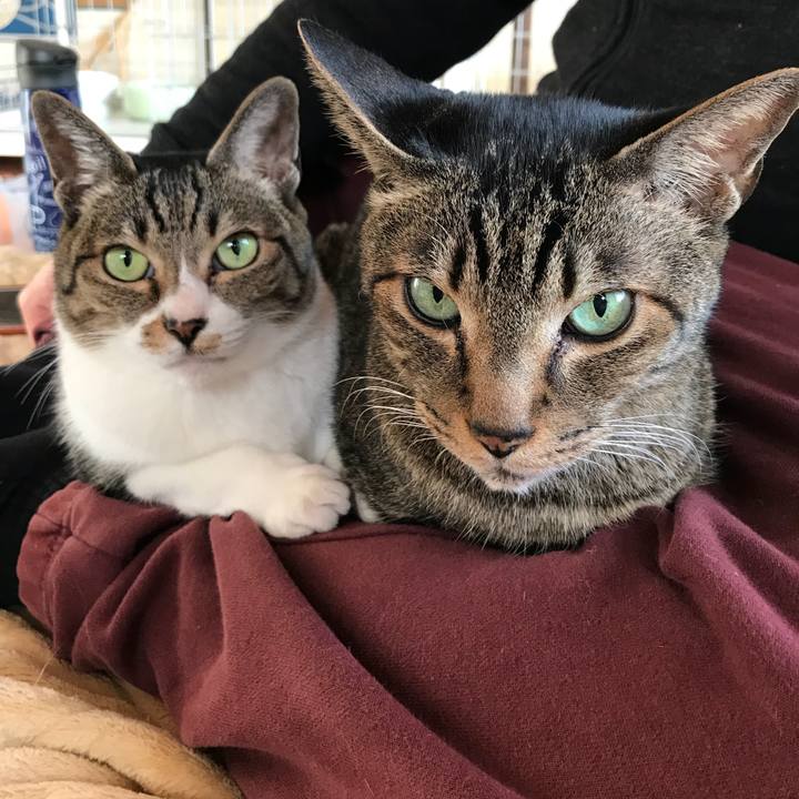 A955d911 07ff 45e2 89d2 b1a705fe5c35 1517446902883