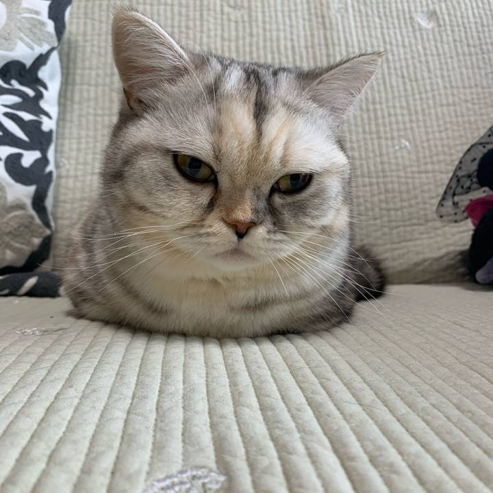 A955e340 6268 452a a825 0dbf4d5c2763 1708125868964