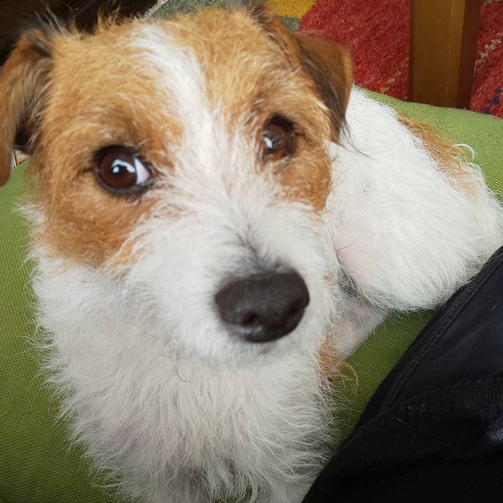 A955eea2 adb9 45b0 a9a2 dc3f5f27a26d 1615281975874