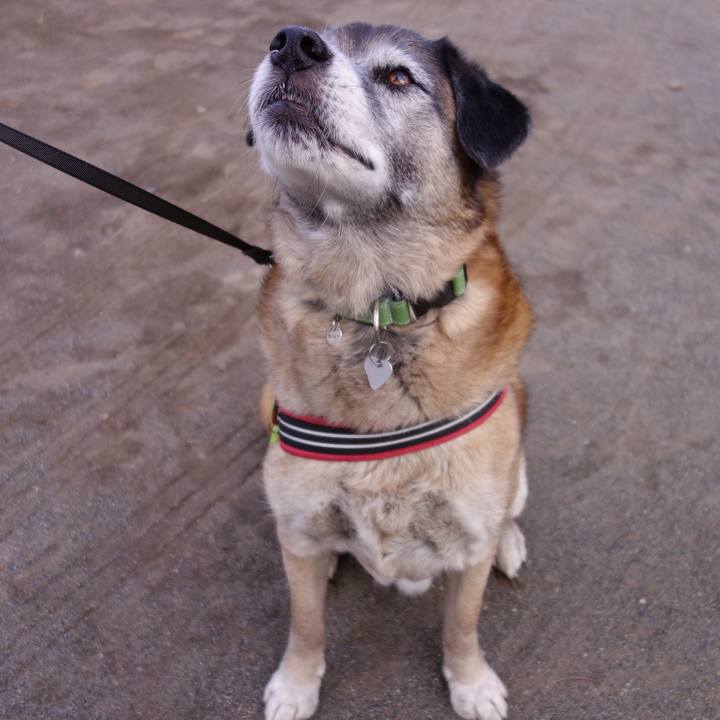 A955ef85 18c0 4d5e 98ed 4dbe706b14f5 1659227278879